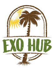 Exo Hub - Import & distribution de fruits & légumes exotiques frais.